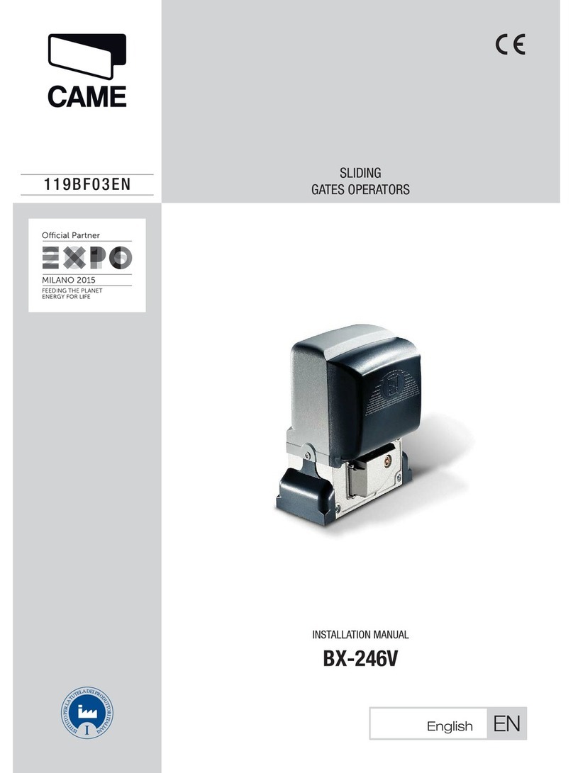 CAME BX-246V User manual