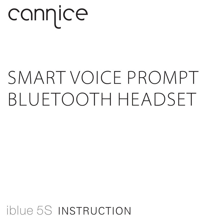 CANNICE iblue 5S Instruction