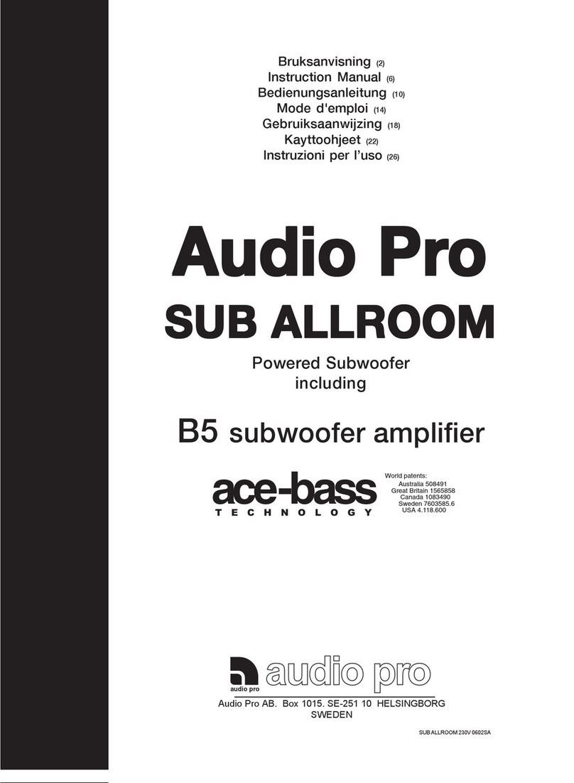 Audio Pro B5 instruction manual