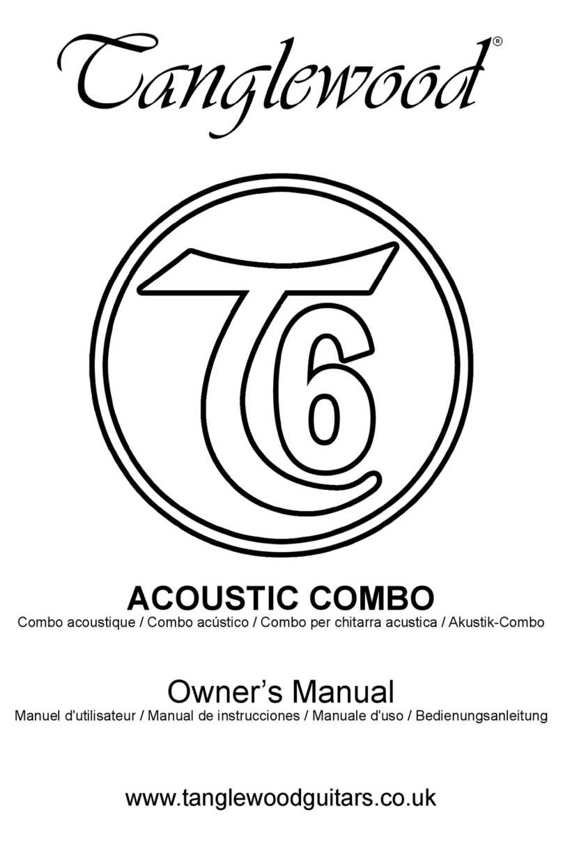 Tanglewood T6 owner's manual