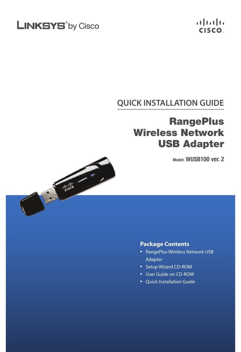Cisco WUSB100 User manual