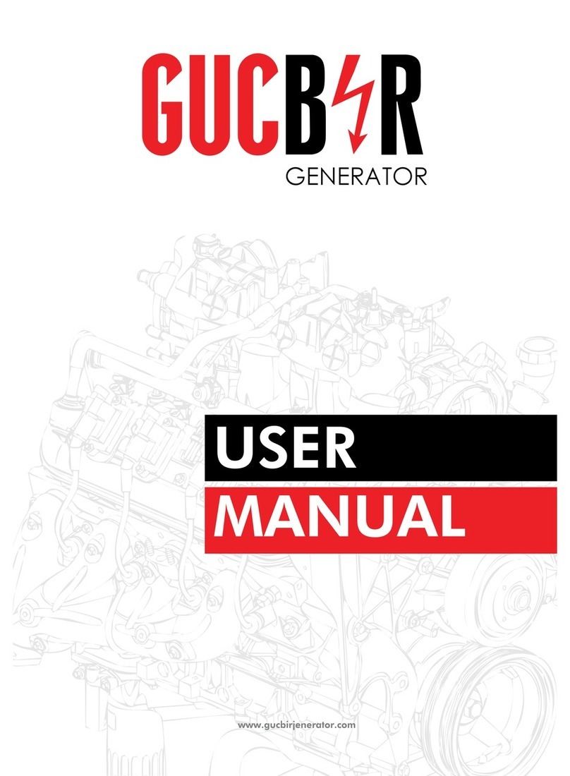 Gucbir D-300 user manual