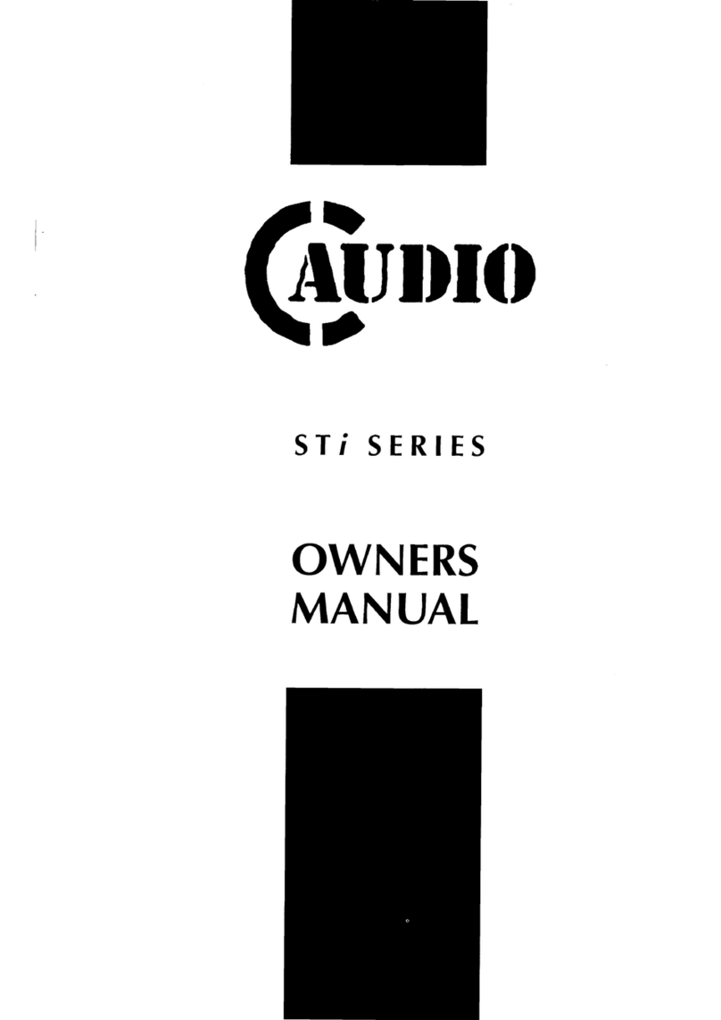 C-Audio ST400i owner's manual