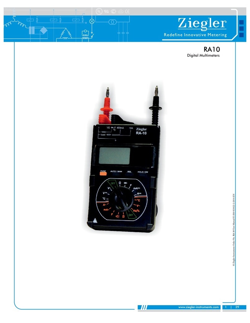 Ziegler RA10 manual