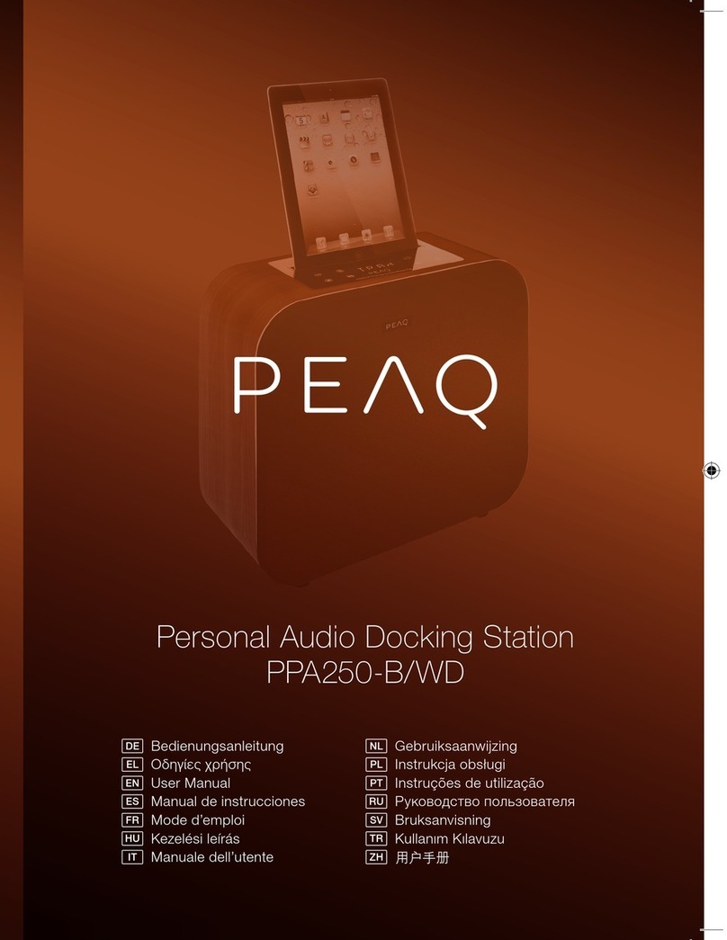 Peaq PPA250-B user manual