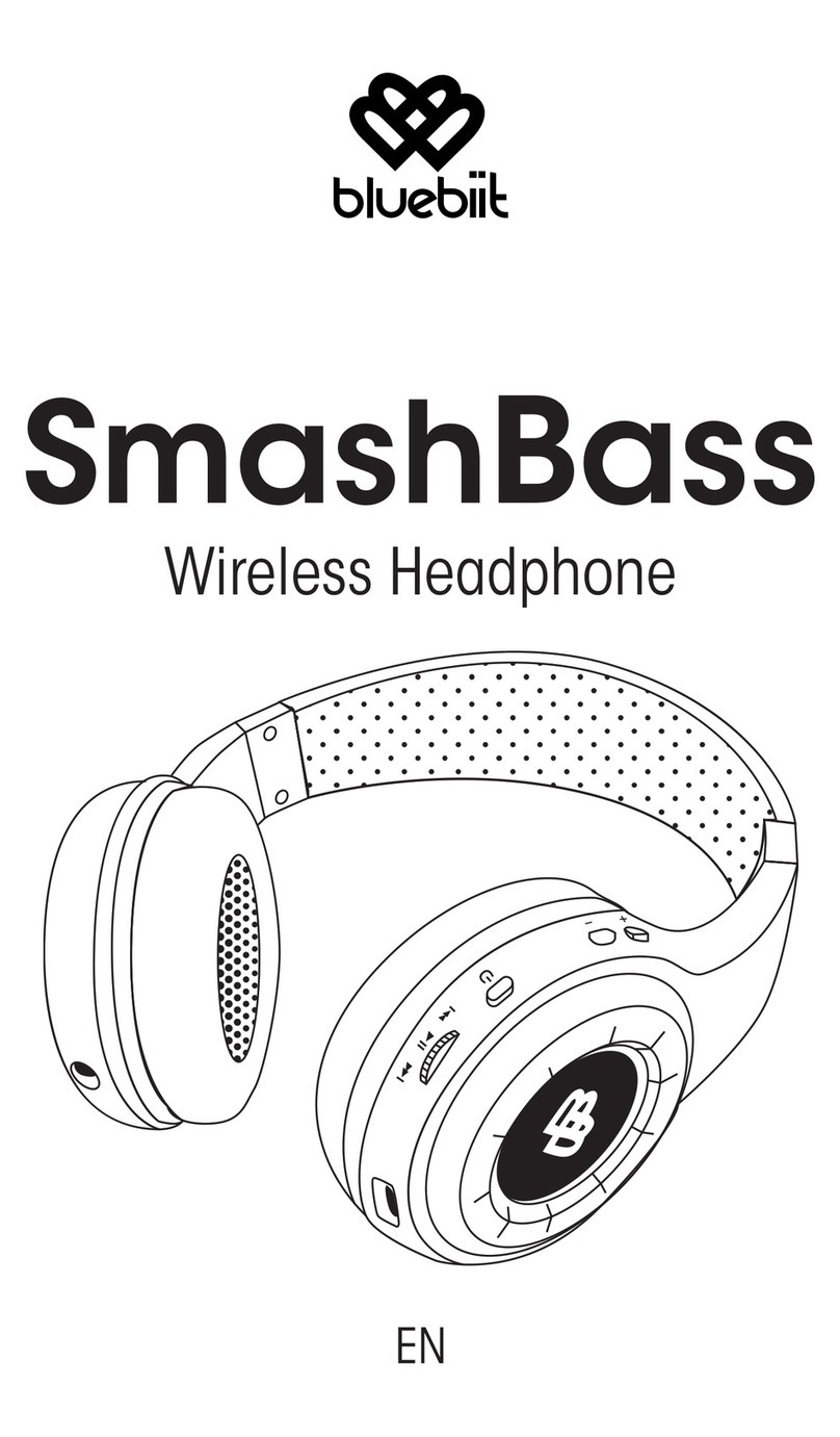 bluebit SmashBass user manual