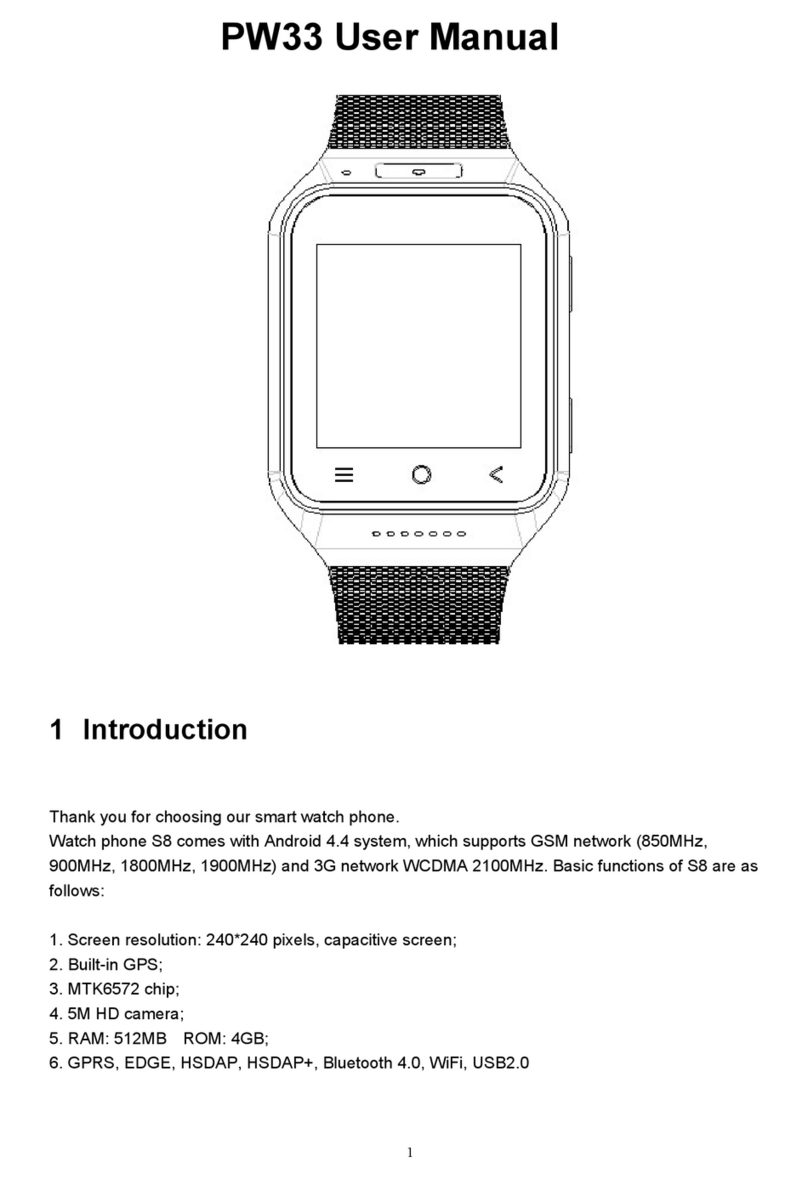 Flylink PW33 user manual