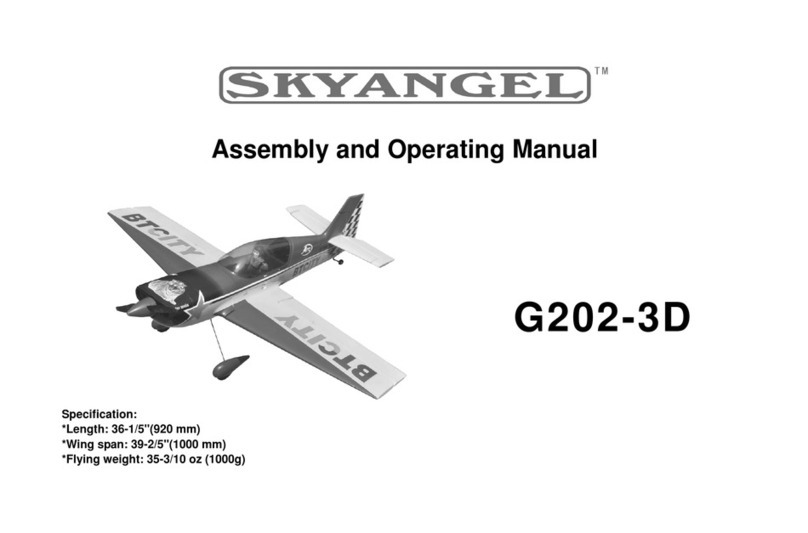 Sky Angel G202-3D Assembly and operating manual