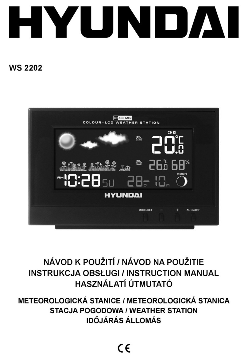 Hyundai WS 2202 User manual