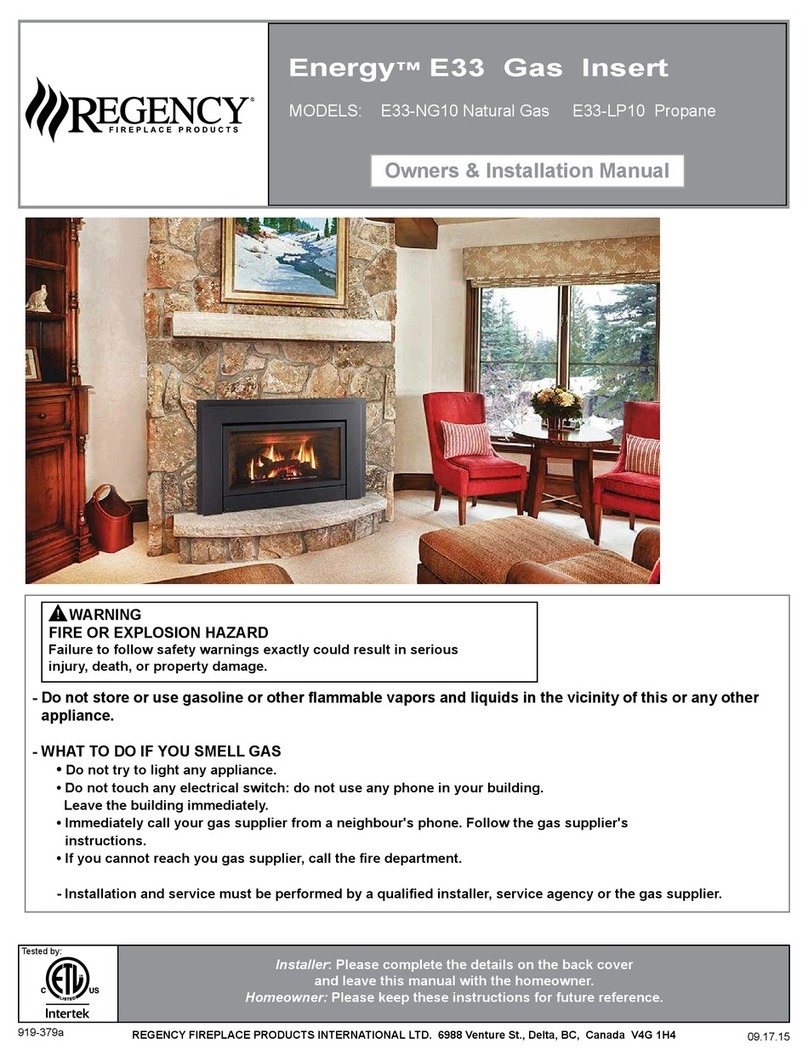 Regency Energy E33-NG10 Owners & installation manual