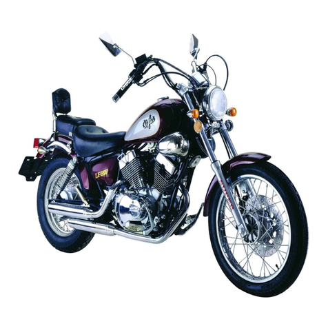 Lifan 2006 250 V manual