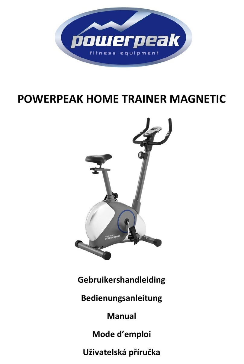 PowerPeak FHT8313 User manual