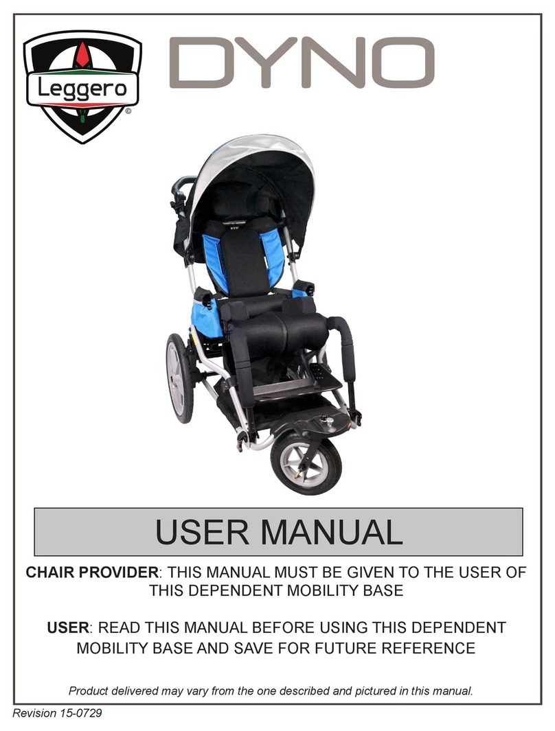 Leggero DYNO user manual