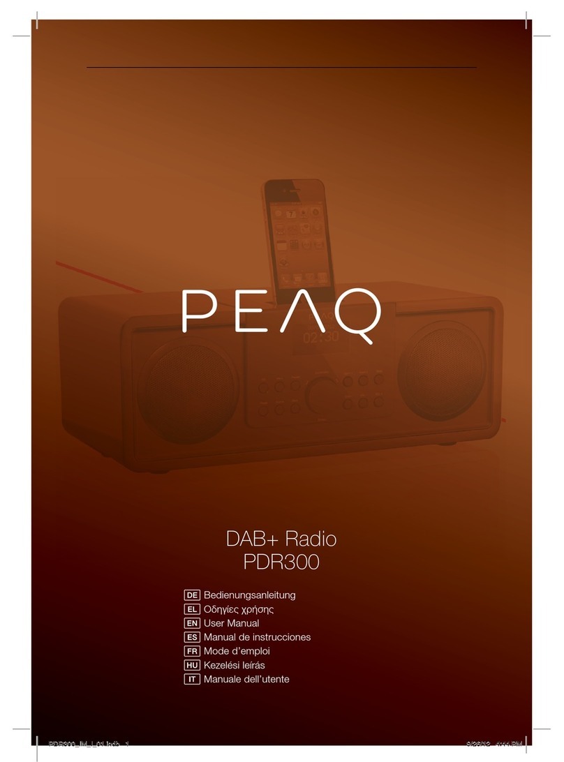 Peaq PDR300 User manual