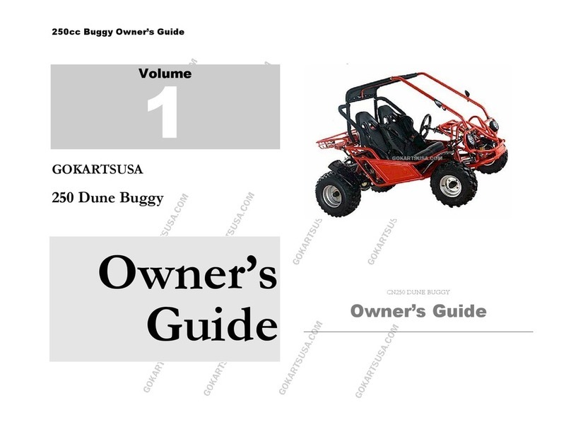 GOKARTS USA CN250 Dune Buggy owner's guide