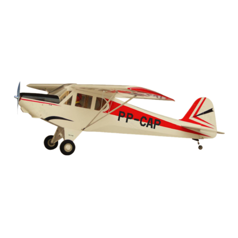 THE WORLD MODELS PAULISTINHA P-56 EP User manual