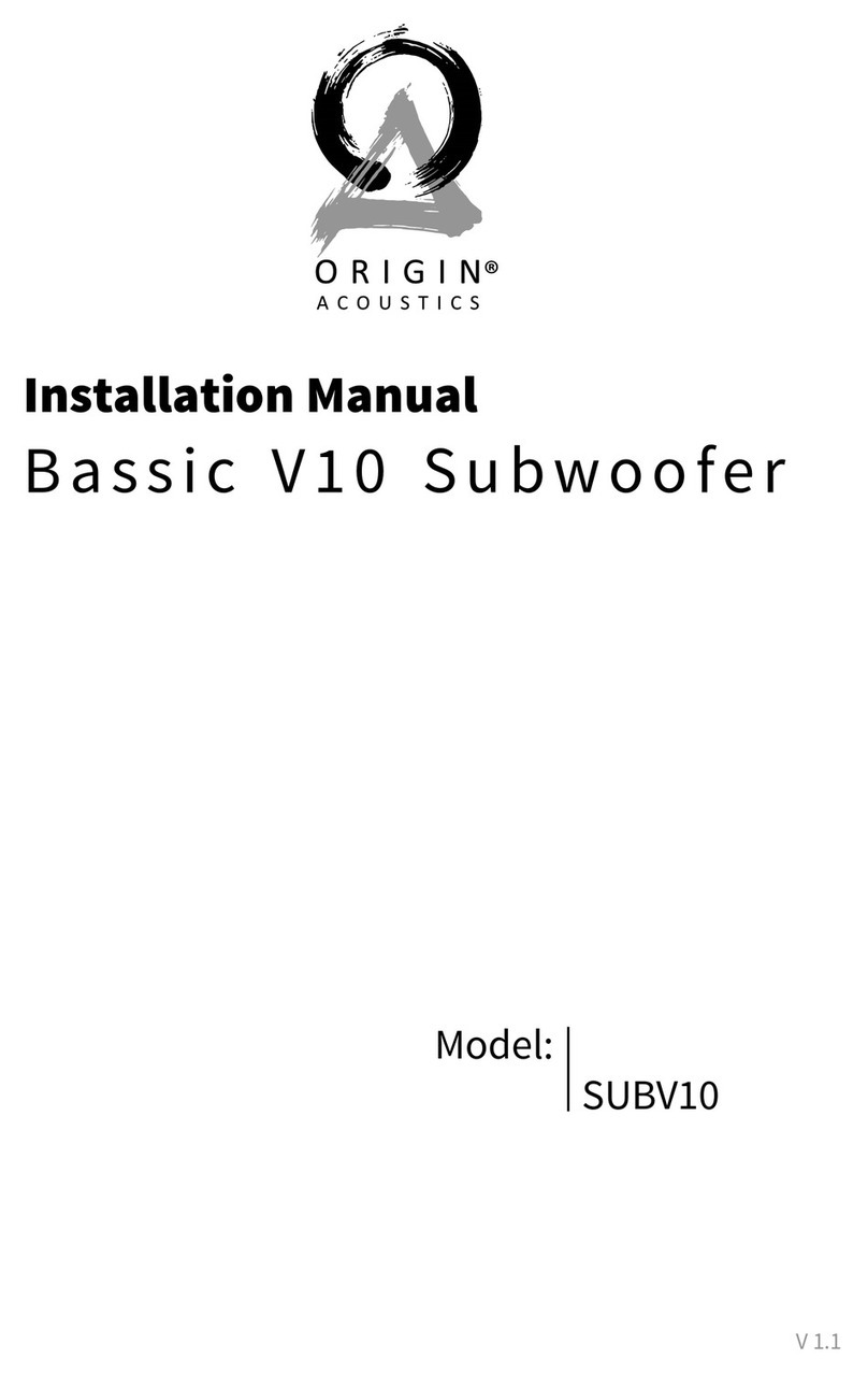 Origin Acoustics Bassic V10 installation manual