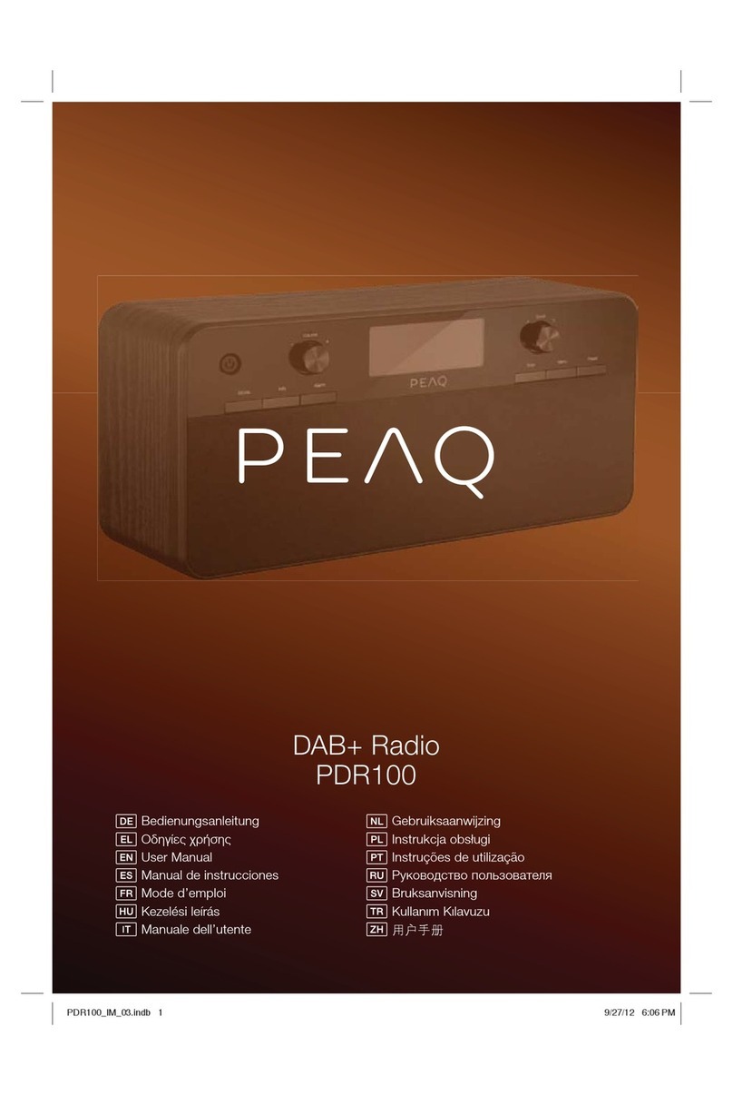 Peaq PDR100 User manual