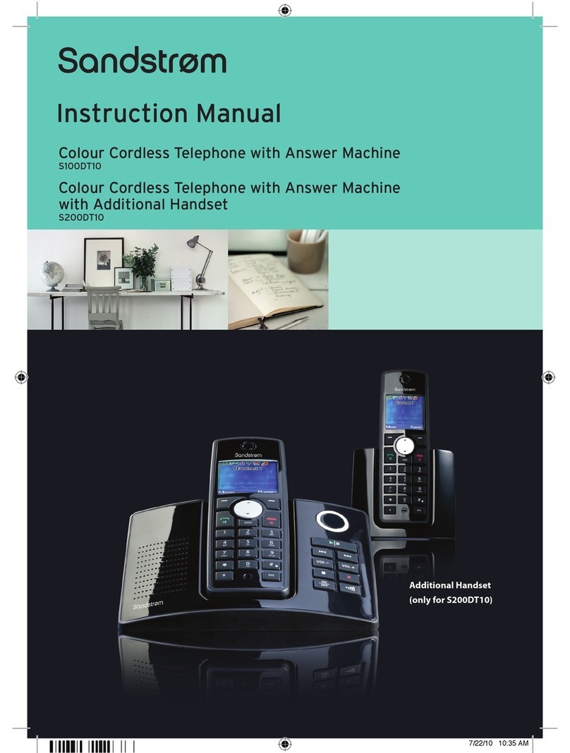 Sandstrom S200DT10 instruction manual