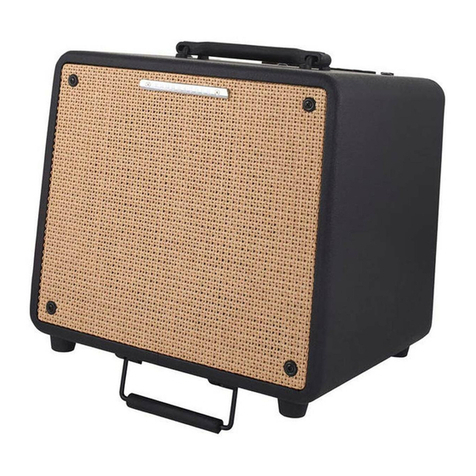 Ibanez troubadour T80N User manual