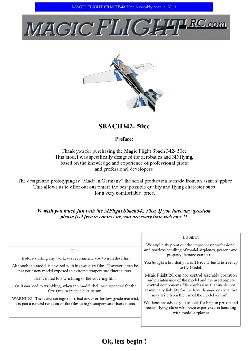 Magic Flight SBACH342- 50cc manual