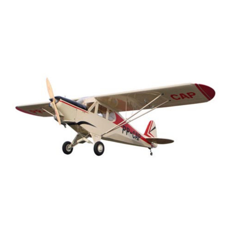 THE WORLD MODELS PAULISTINHA P-56 EP User manual