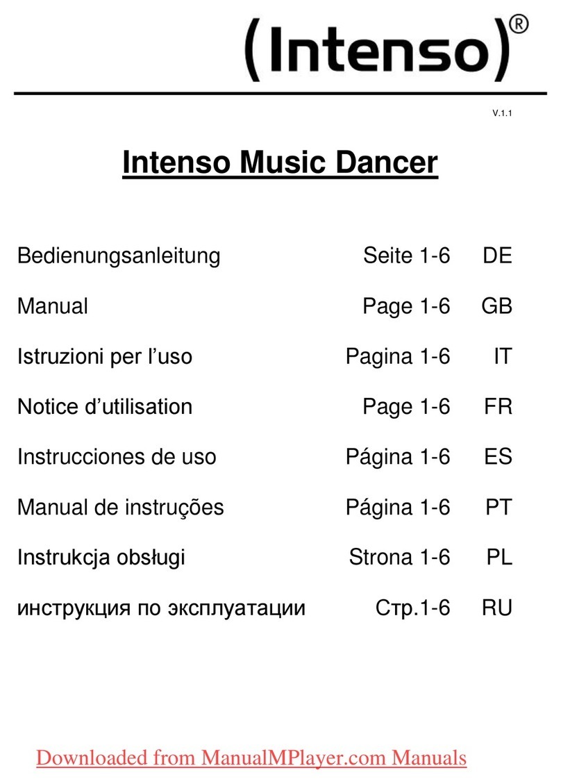 Intenso Music Dancer manual