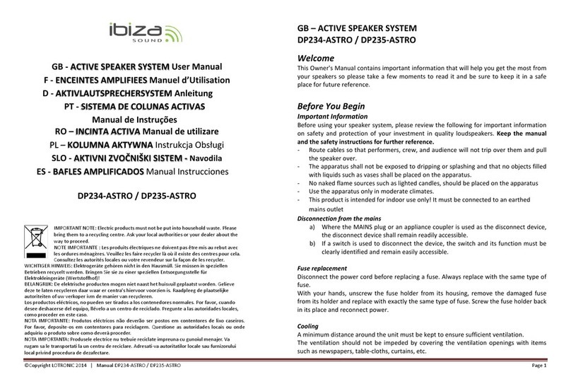 Ibiza sound DP234-ASTRO user manual
