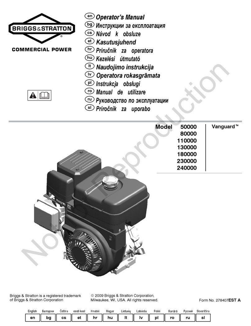 Briggs & Stratton Vanguard 80000 Operator's manual