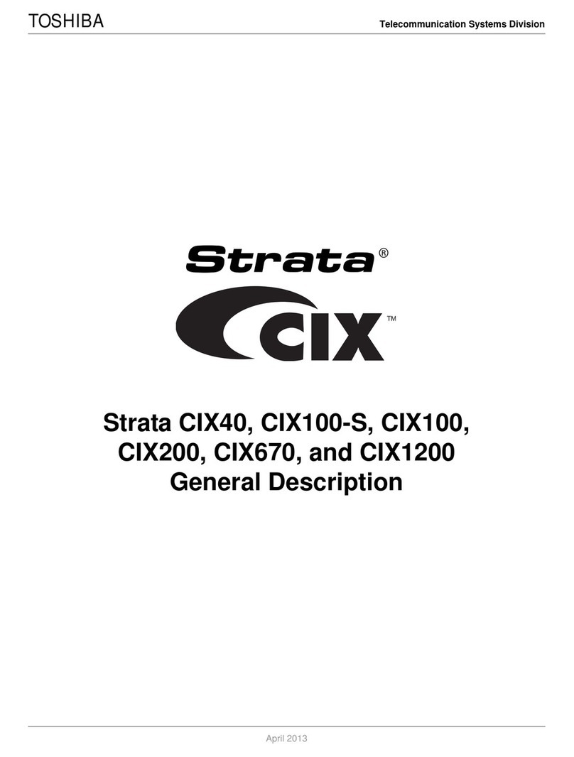Strata CIX100-S Description
