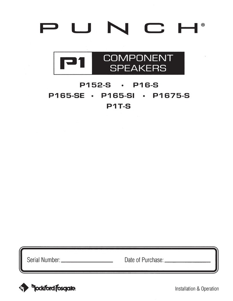 punch P152-S Installation & operation