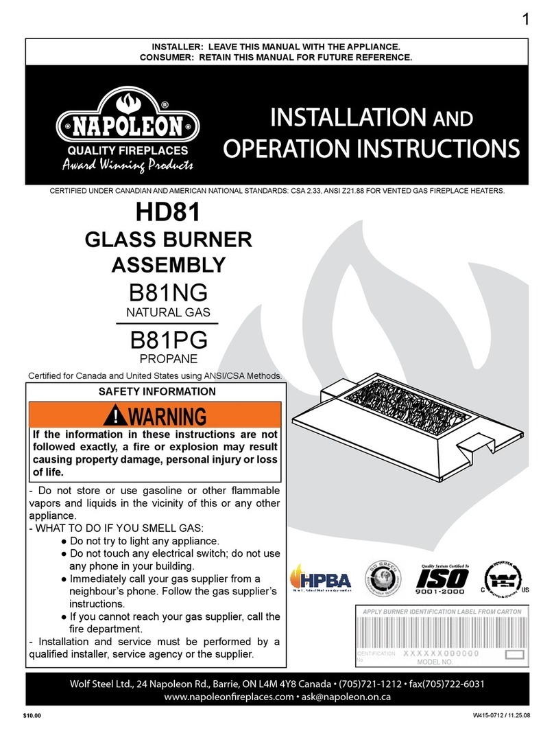 Napoleon HD81 User manual