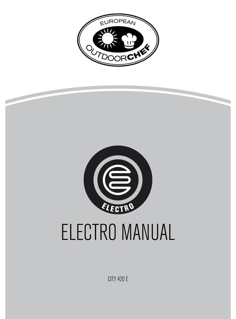 Electro CITY 420 E manual