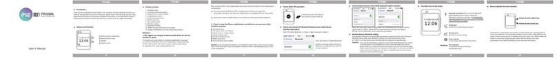 ORA prisma user manual