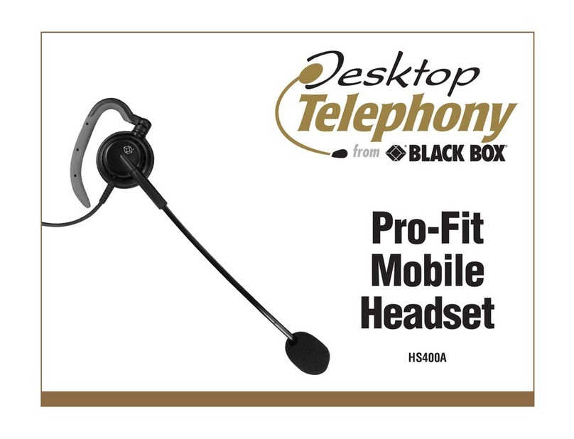 Black Box HS400A manual