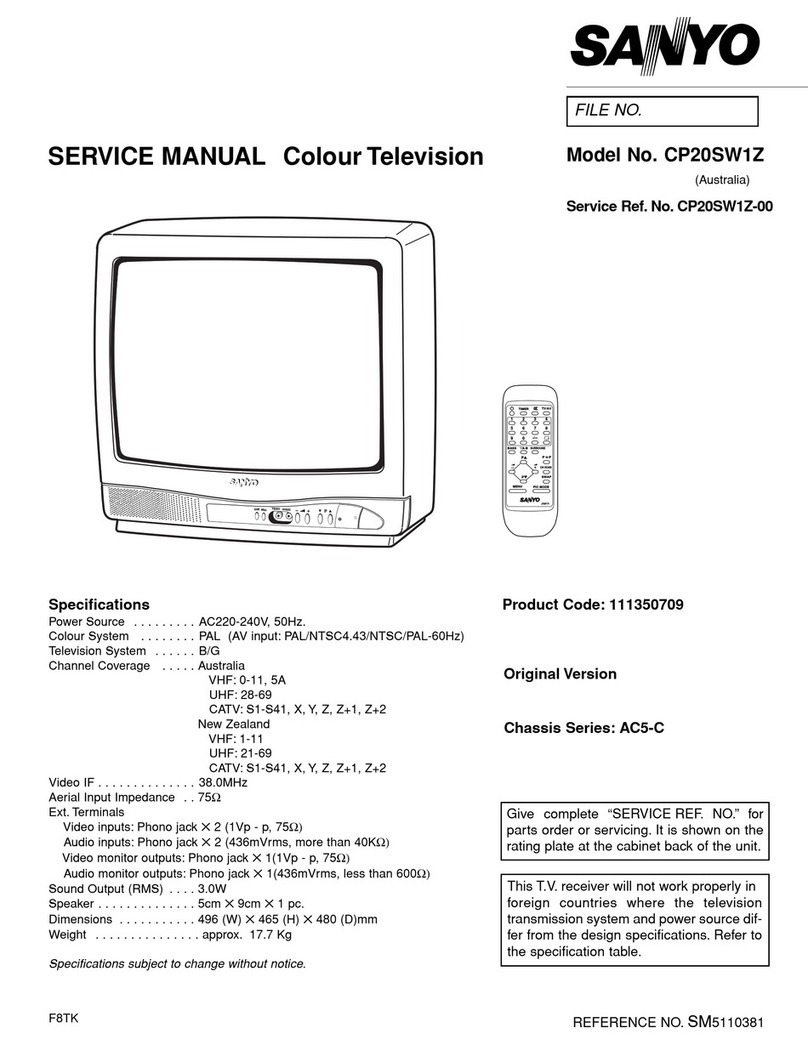 Sanyo CP20SW1Z User manual