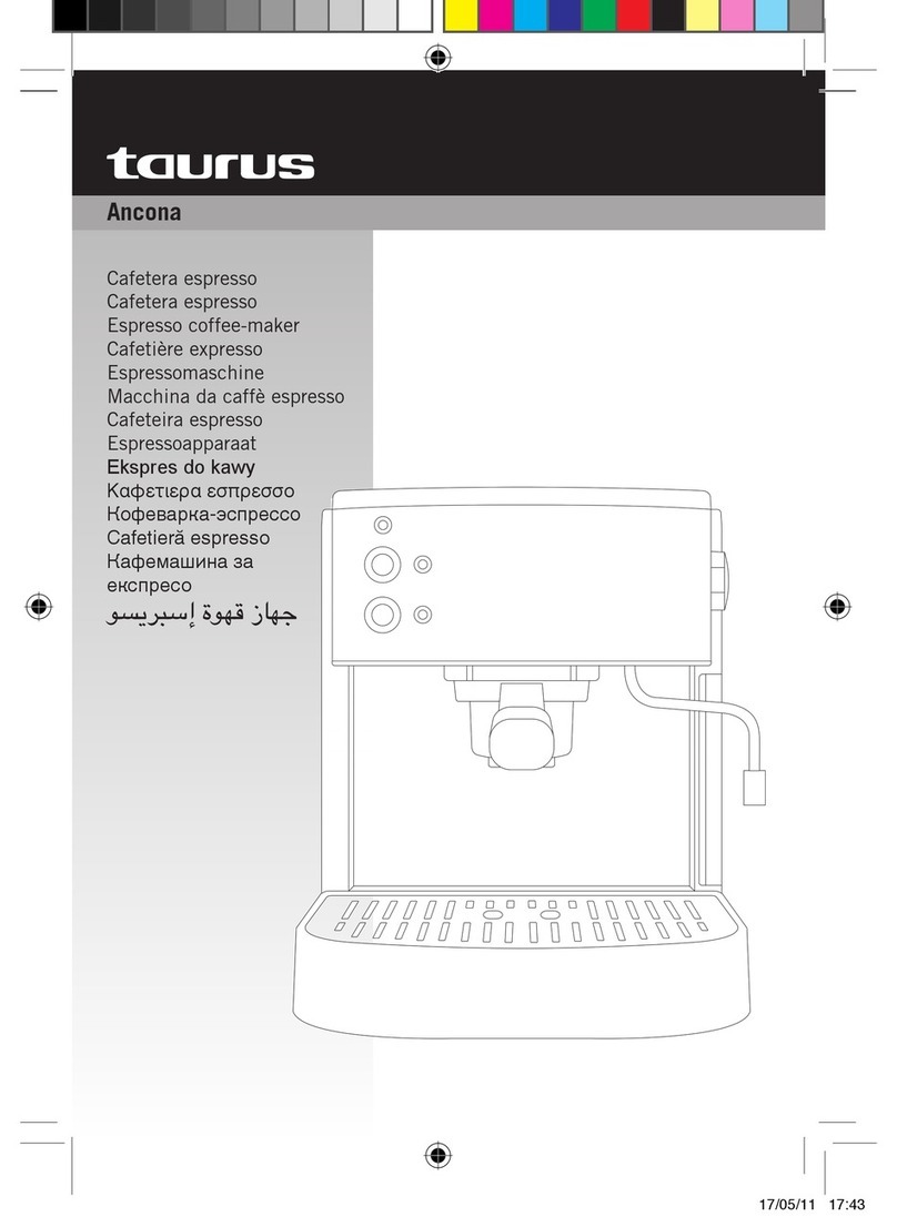 Taurus Ancona manual