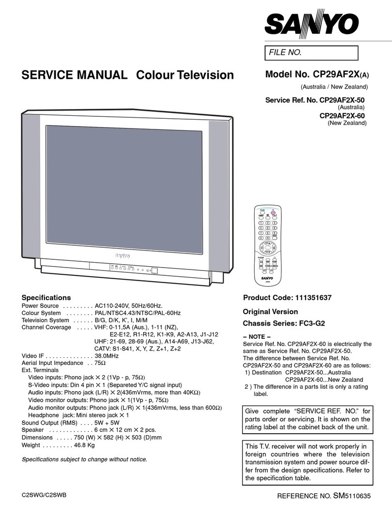 Sanyo CP29AF2X User manual