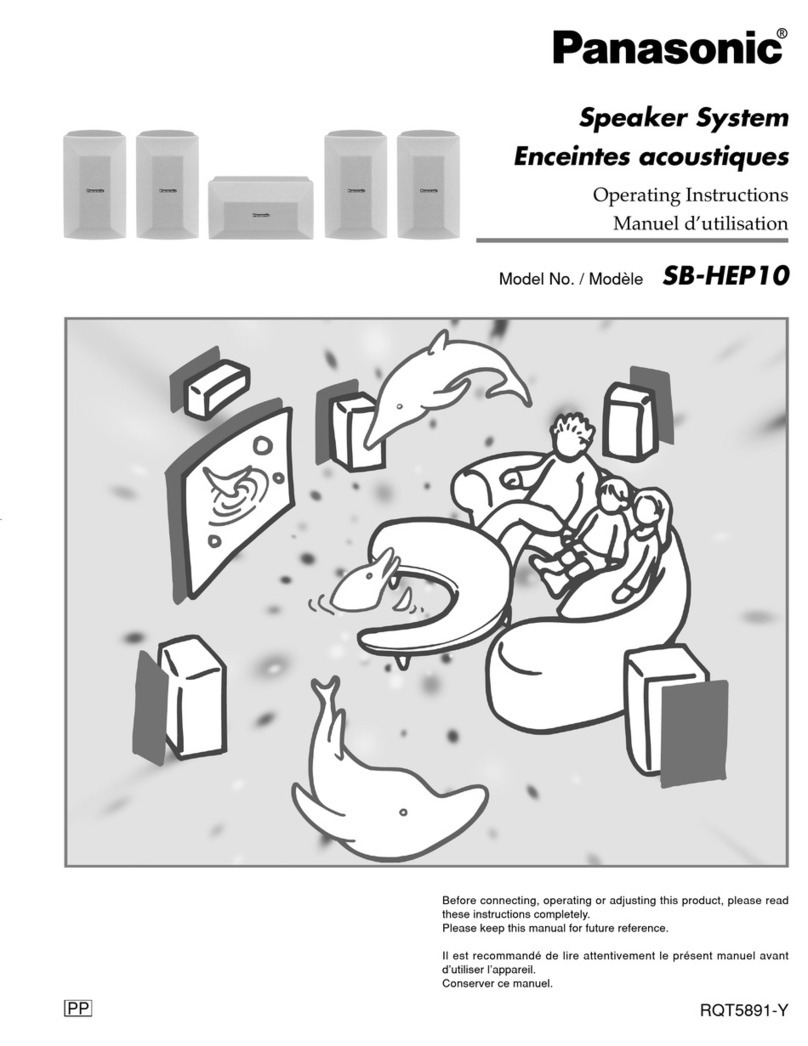Panasonic SB-HEP10 User manual