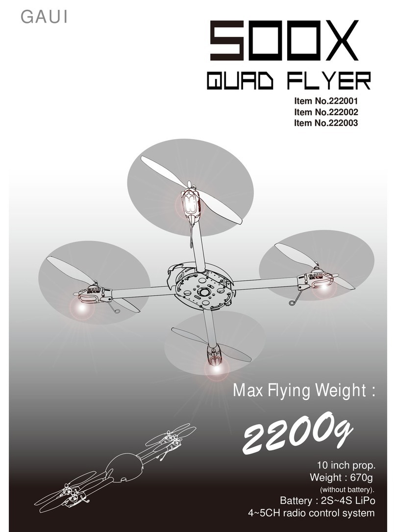 GAUI 500X manual