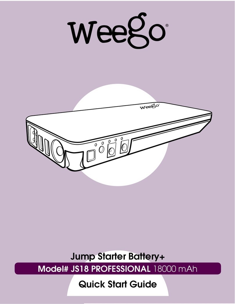 Weego JS18 Professional quick start guide