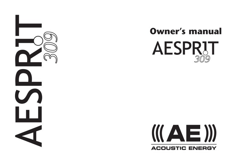 AE AESPRIT 309 owner's manual