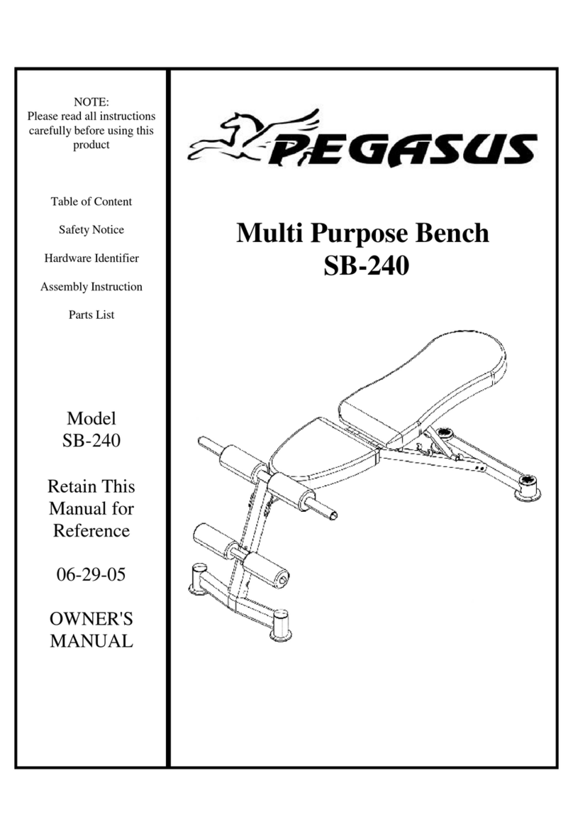 Pegasus SB-240 User manual