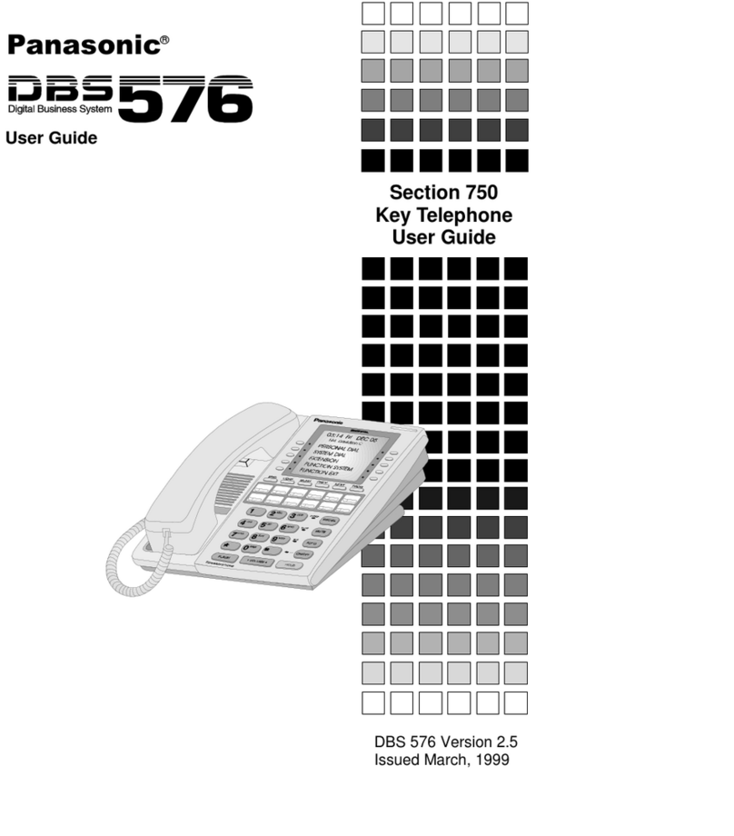Panasonic DBS 576 user guide