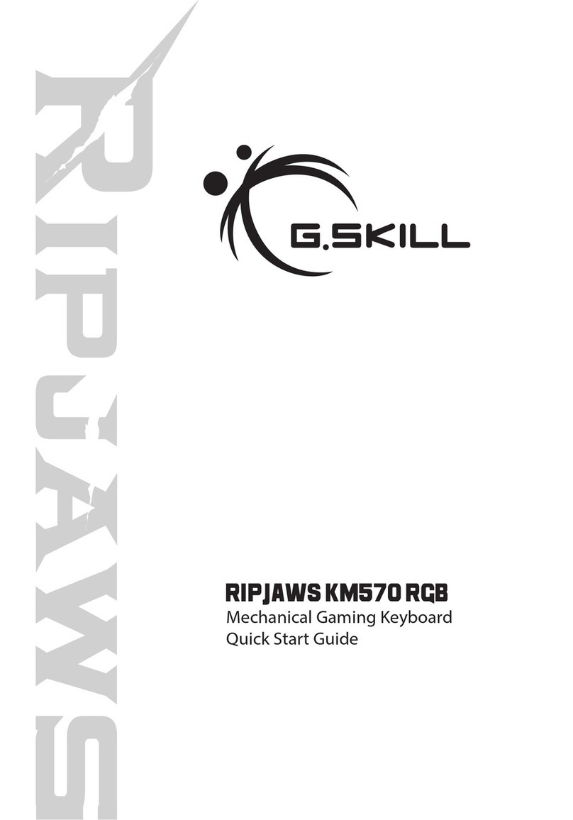 G.SKILL RIPJAWS KM570 RGB User manual
