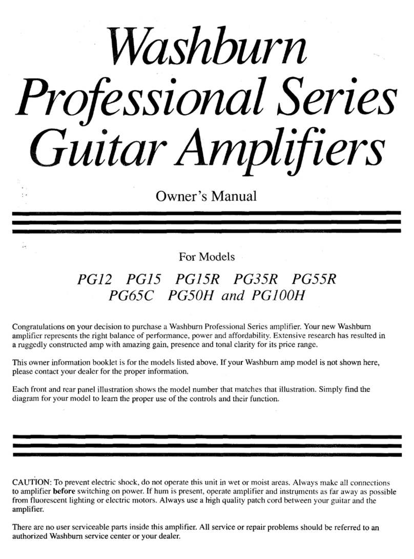 Washburn PG12 owner's manual
