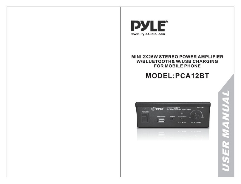PYLE Audio PCA12BT user manual