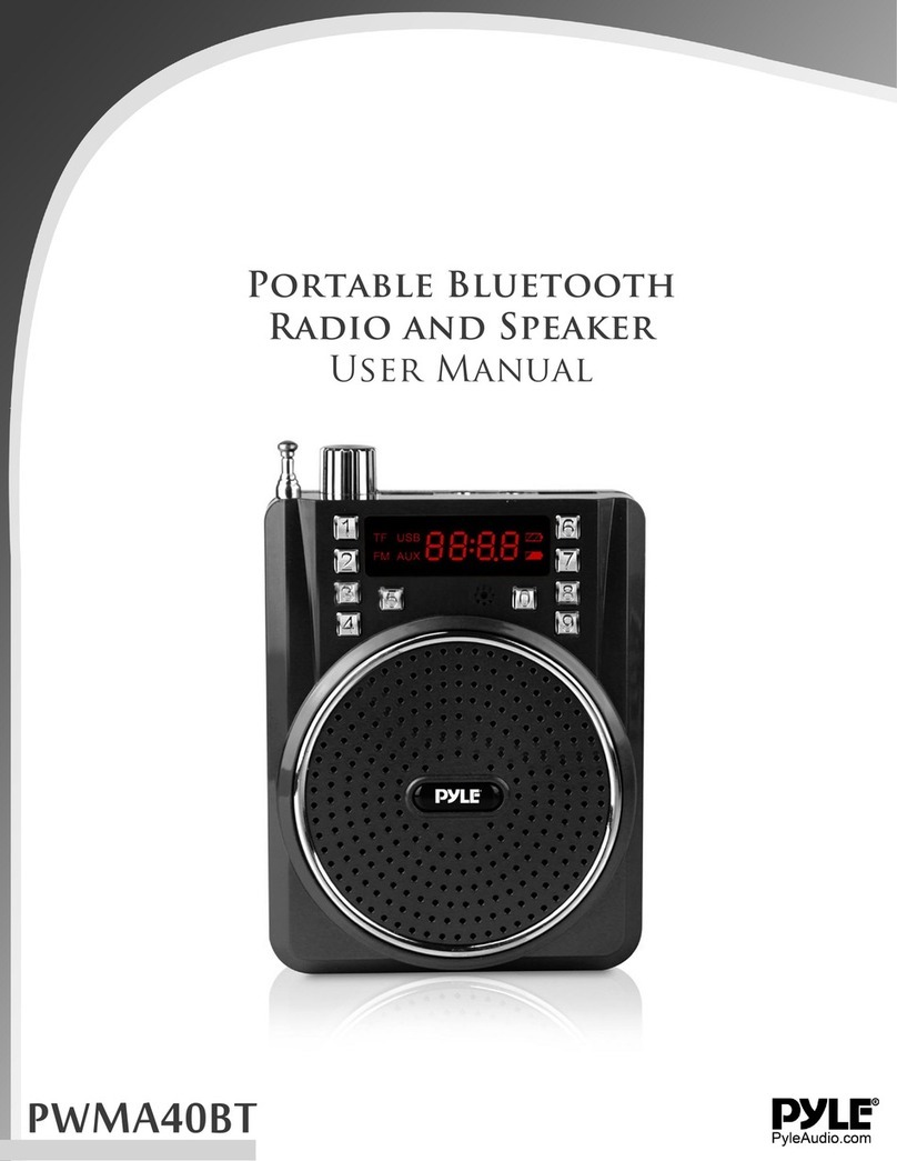 PYLE Audio PWMA40BT User manual