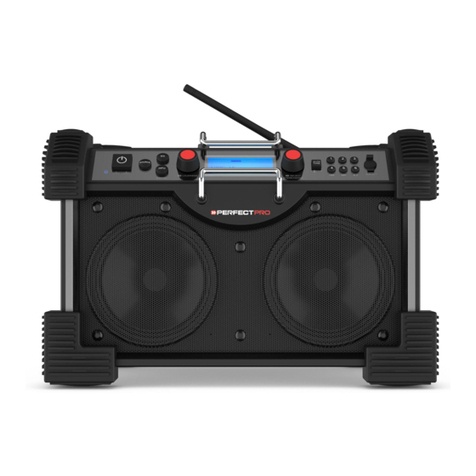 PERFECTPRO Rock Hart BT User manual