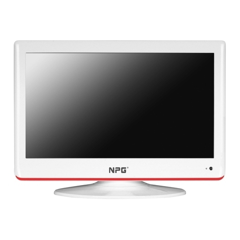 NPG NT-229W-P User manual